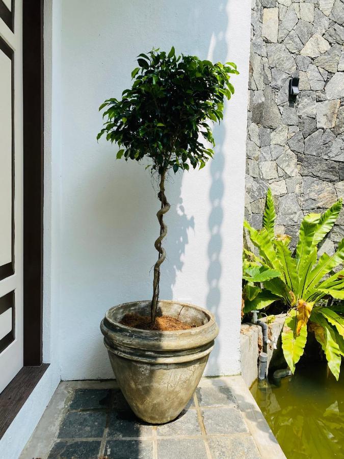 Thaprobana Villa Tangalle - Private Villa Exterior foto